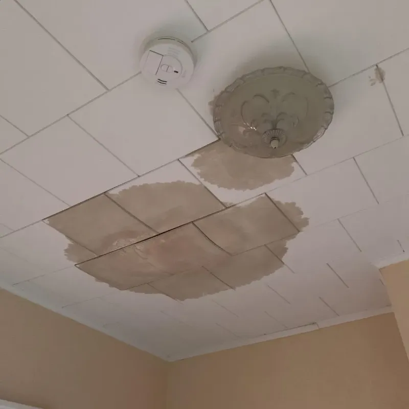 Ceiling Water Damage Repair in Saltville, VA