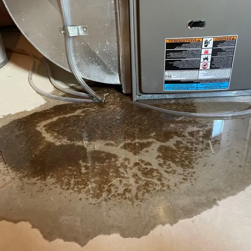 Pipe Burst and Leak Restoration in Saltville, VA
