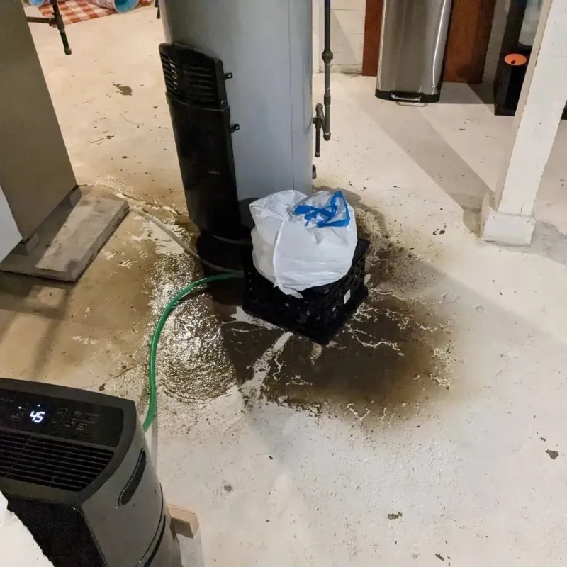 Sewage Backup Cleanup Service in Saltville, VA
